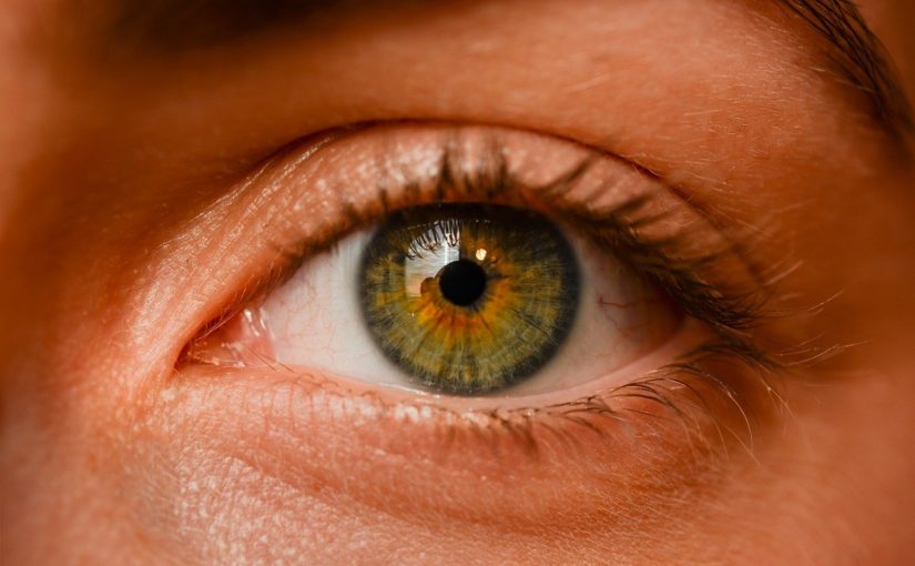 Oczy to jednostkowy organ. To naturalnie dzięki nim odczuwamy.
